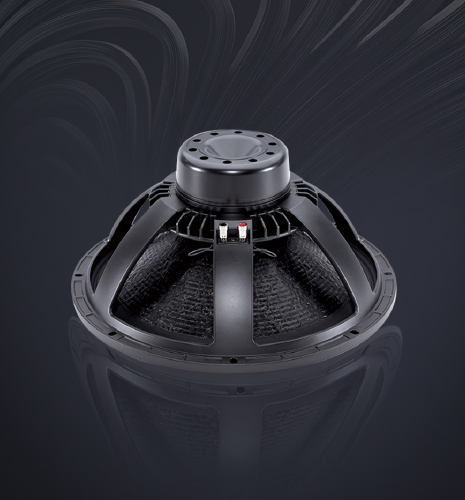 Pro Audio Speakers