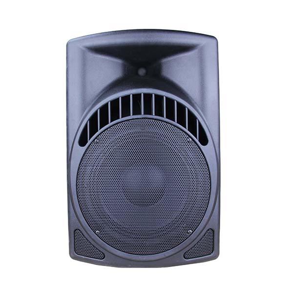 RP1009BT