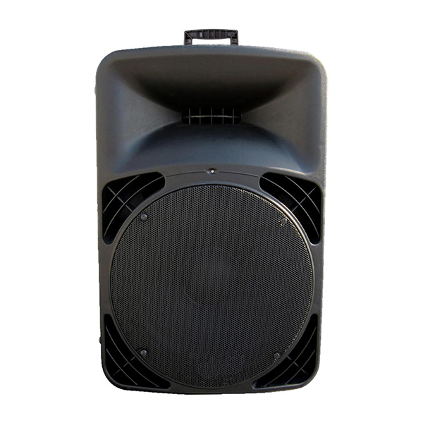 RP1516DSP