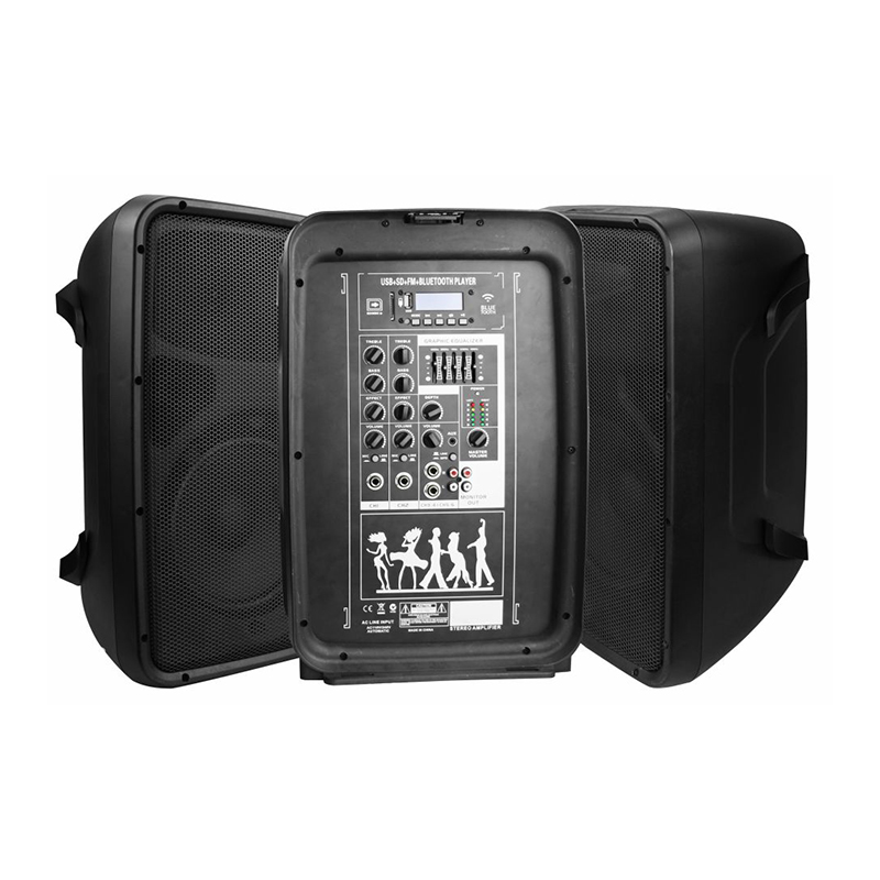RP208COMBO-80