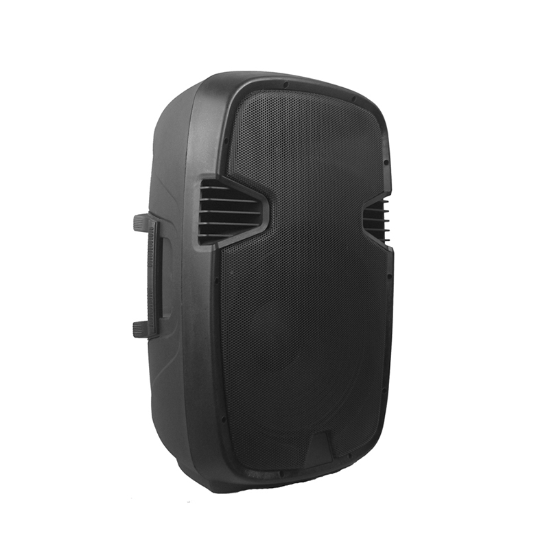 RP1001COMBO-80