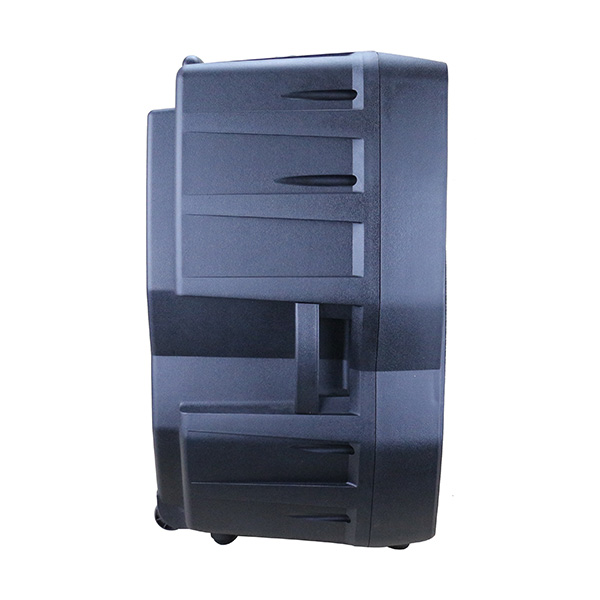 RP1229BT