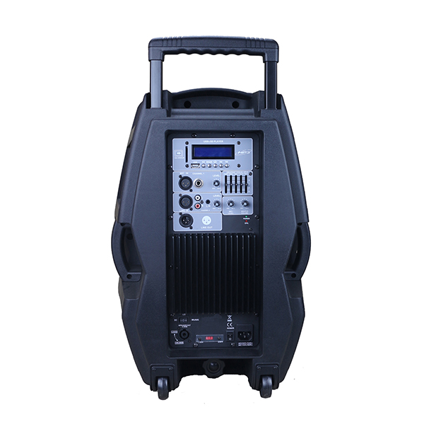 RP1229BT