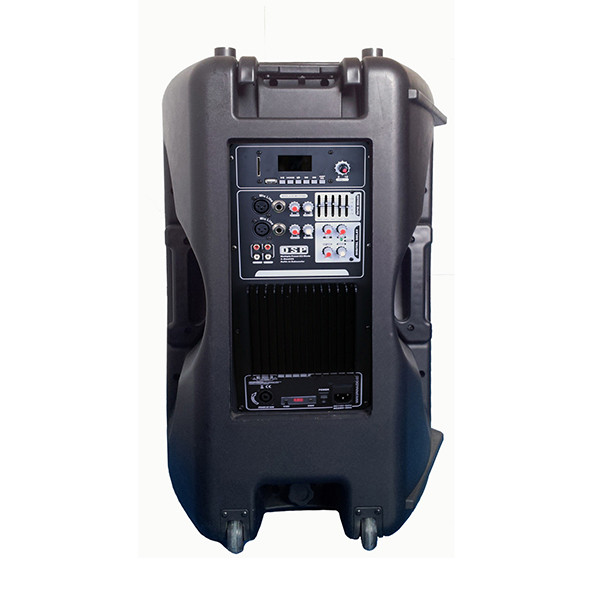 RP1516DSP