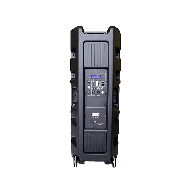 PR21531D-300