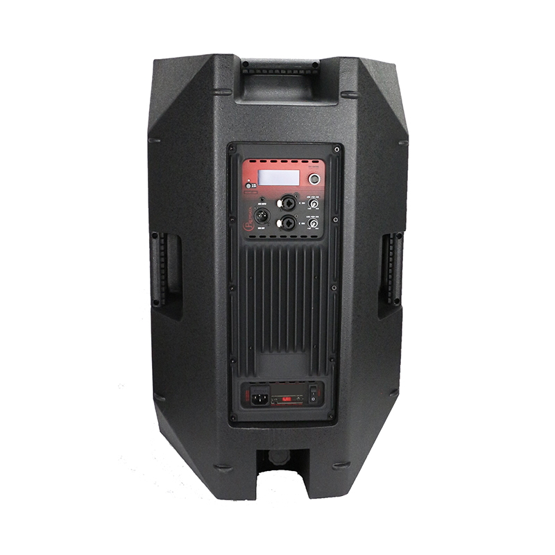 RP1248D350+DSP