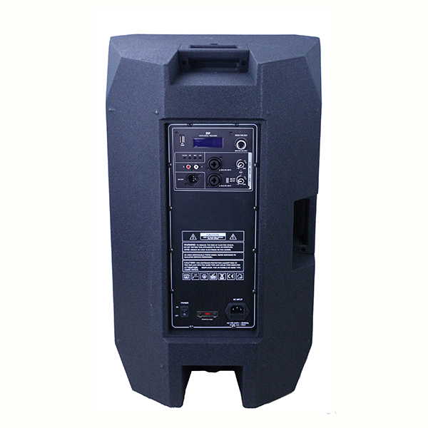 RP1238DSP