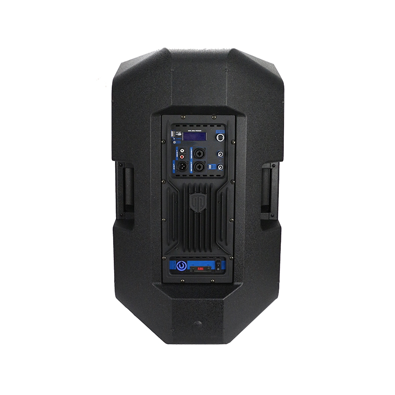 RP1249D350+DSP