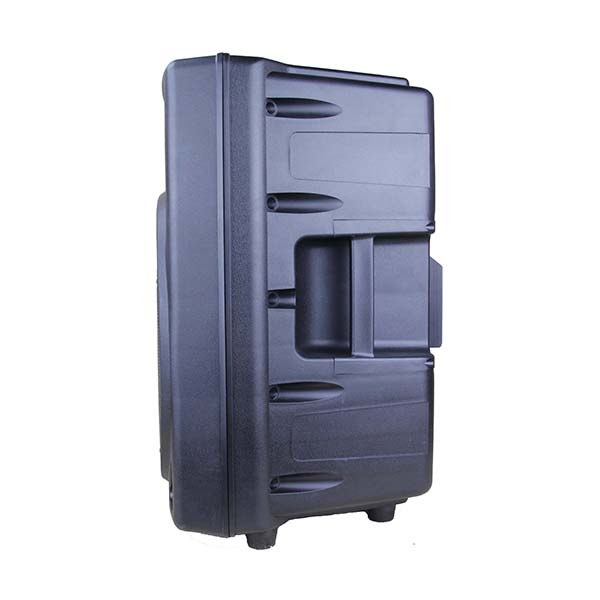 RP1009BT