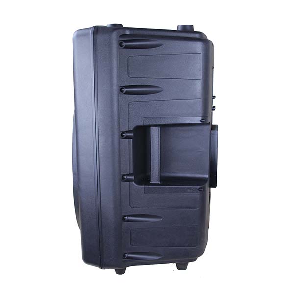 RP1209BT