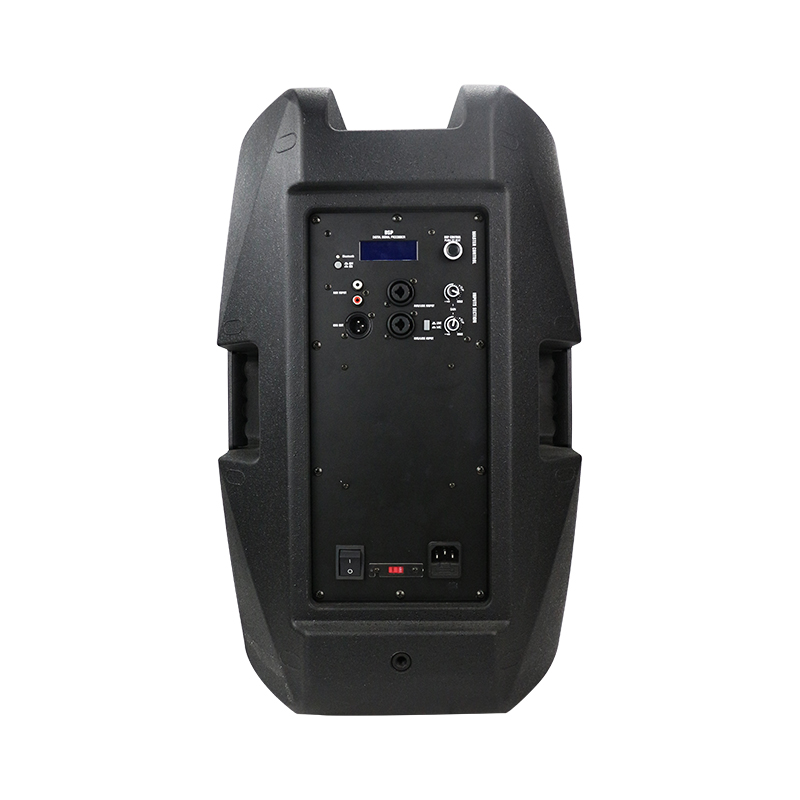 RP1541D500+DSP